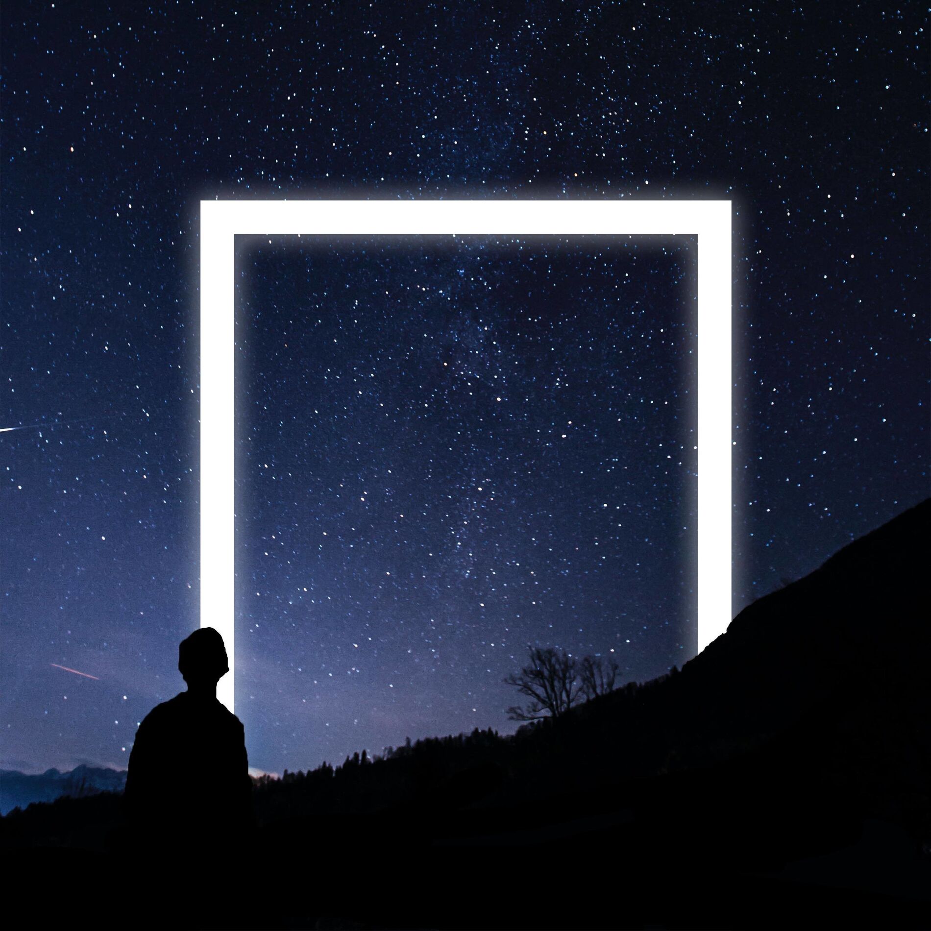 Album cover of Distant Call