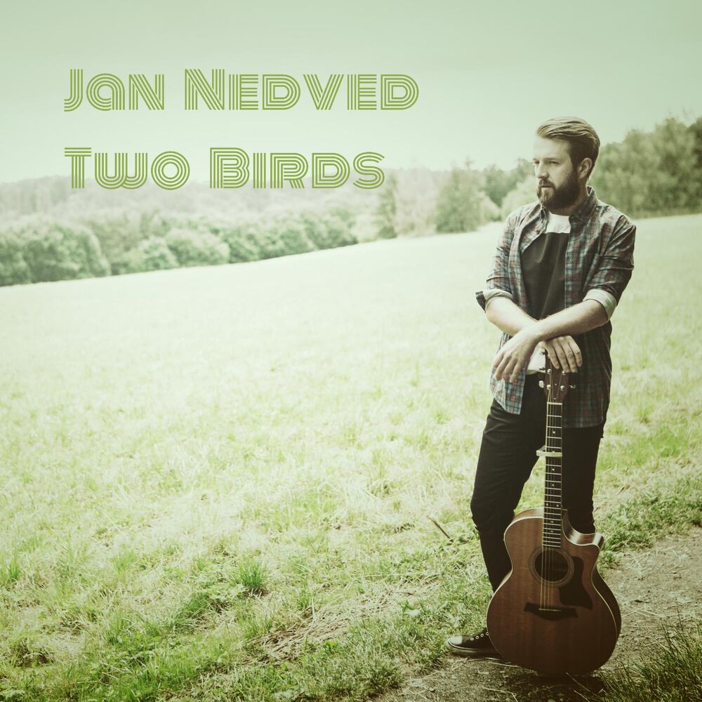 Picture of Two Birds