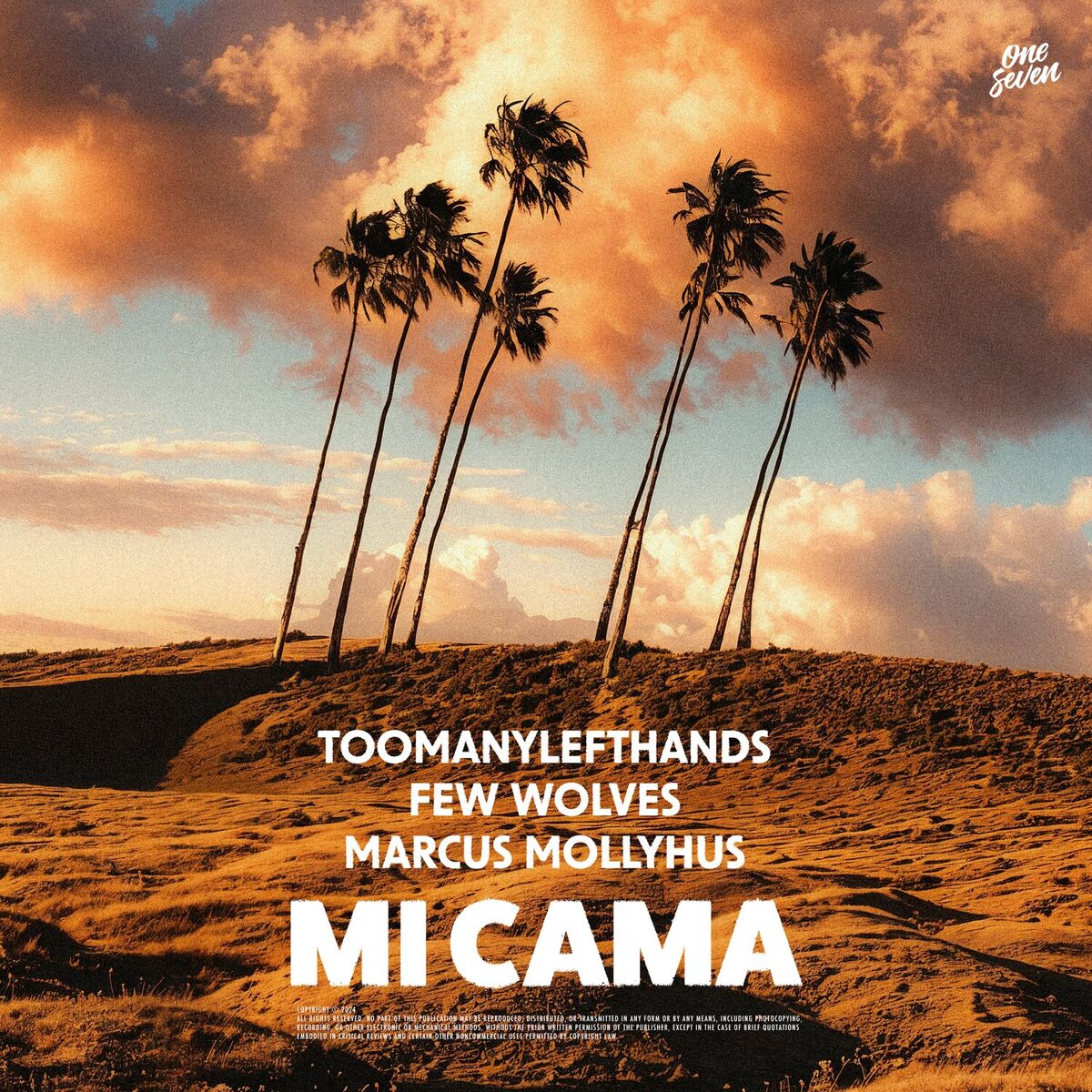 Album cover of Mi Cama