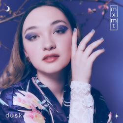 Cover of dusk