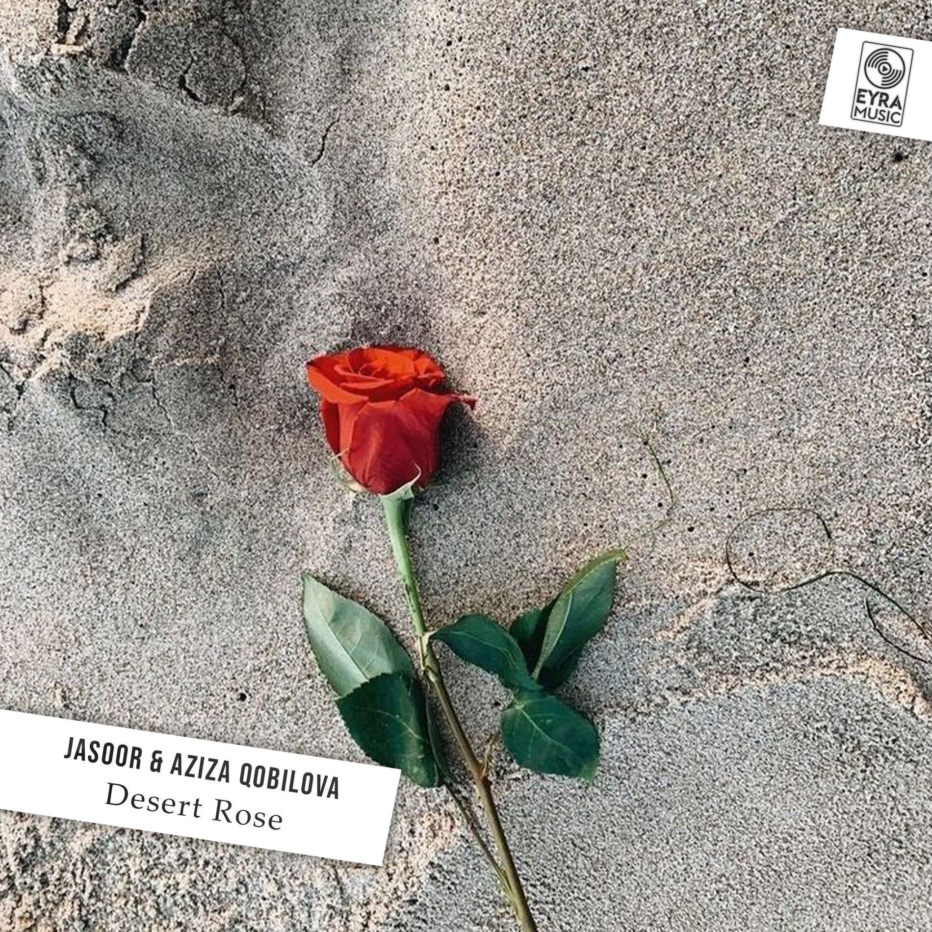 Album cover of Desert Rose