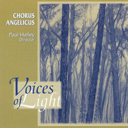 Cover of Voices of Light