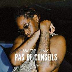 Cover of Pas De Conseils