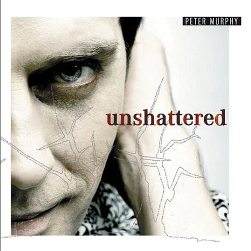 Picture of Unshattered
