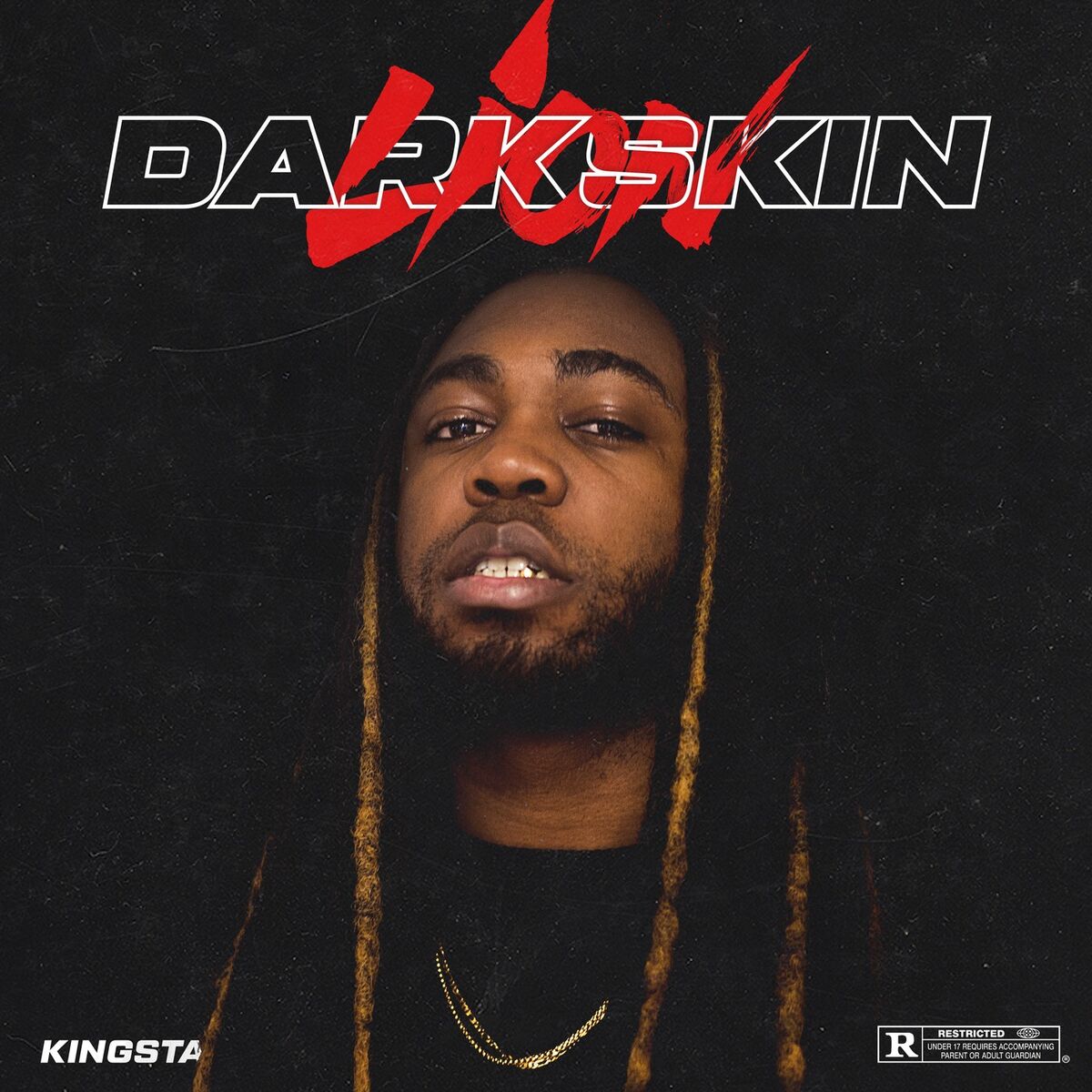 Album cover of Darkskin Lion