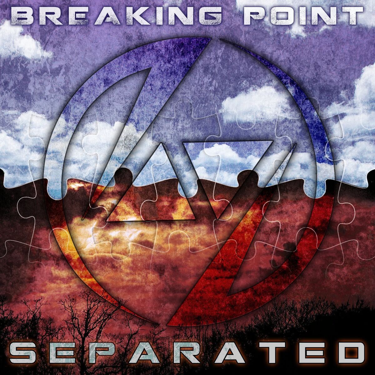Album cover of Separated