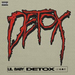 Cover of Detox