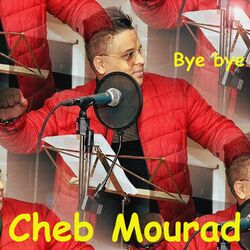Cover of Bye bye
