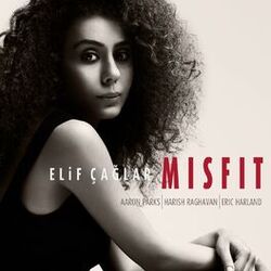 Cover of Misfit