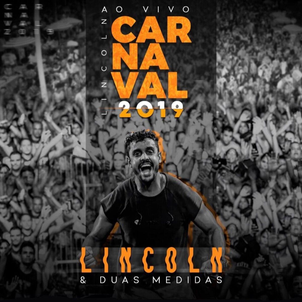 Album cover of Ao Vivo Carnaval 2019