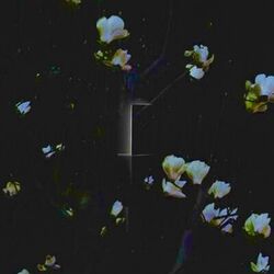 Cover of Corridor
