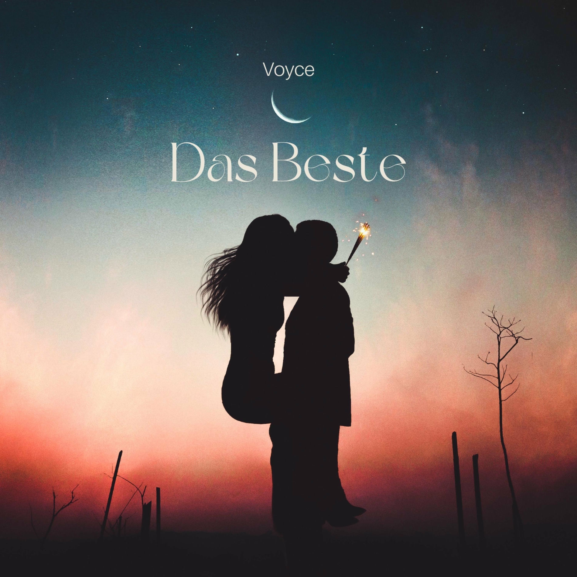 Album cover of Das Beste