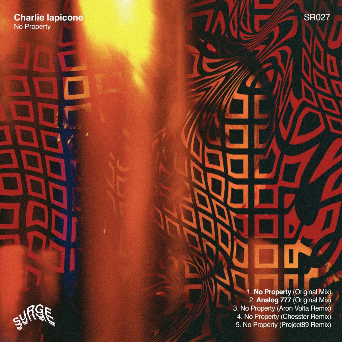 Album cover of No Property