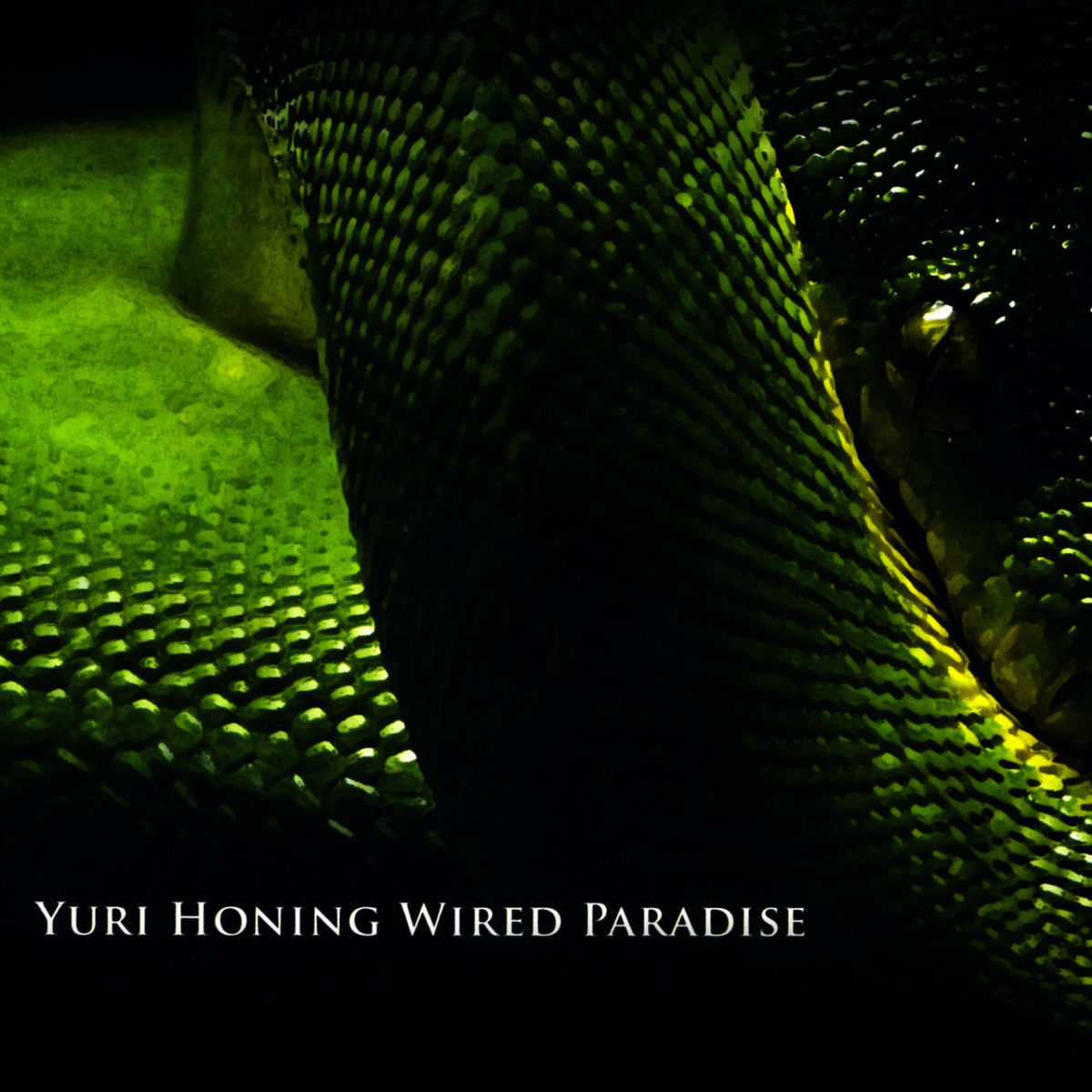 Album cover of Temptation