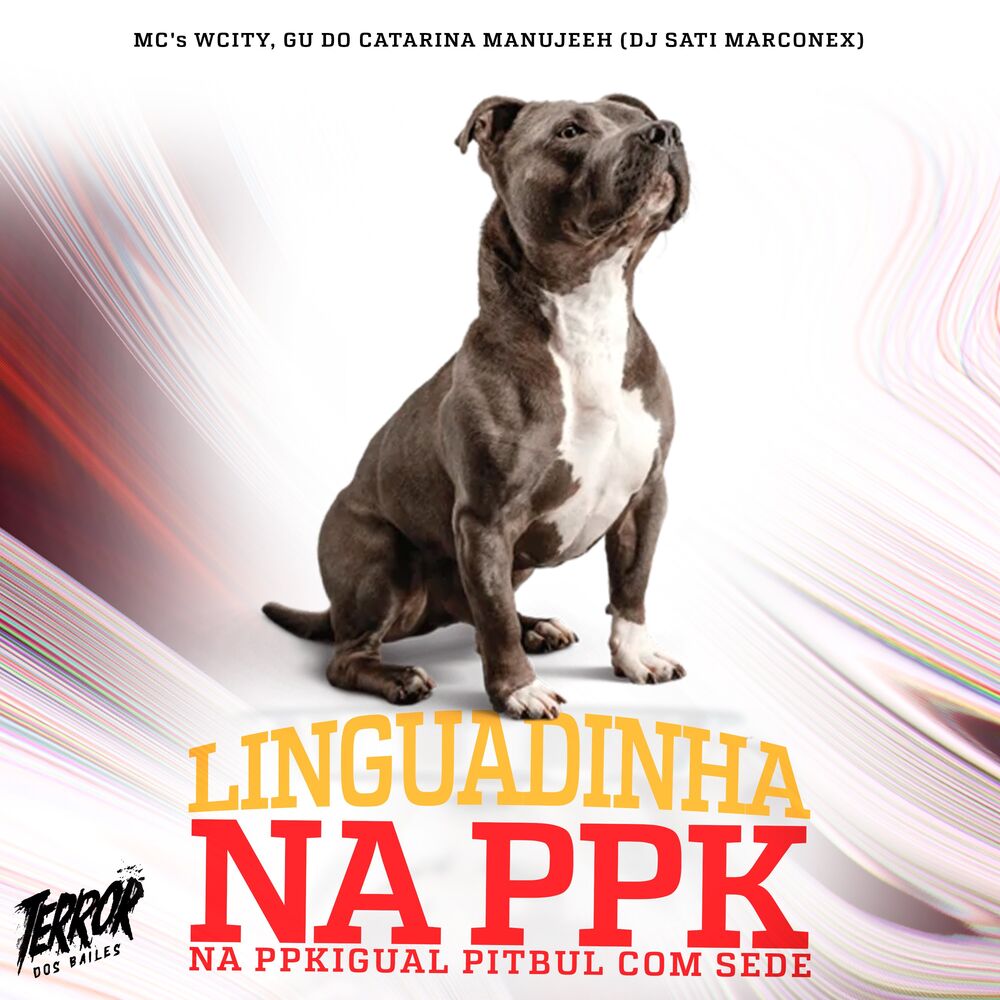 Picture of Linguadinha na PPK na PPKigual Pitbull com Sede (feat. MC Wcity)