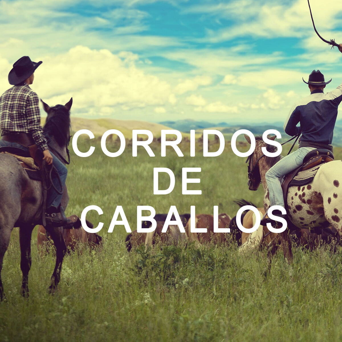 Album cover of Corridos de Caballos
