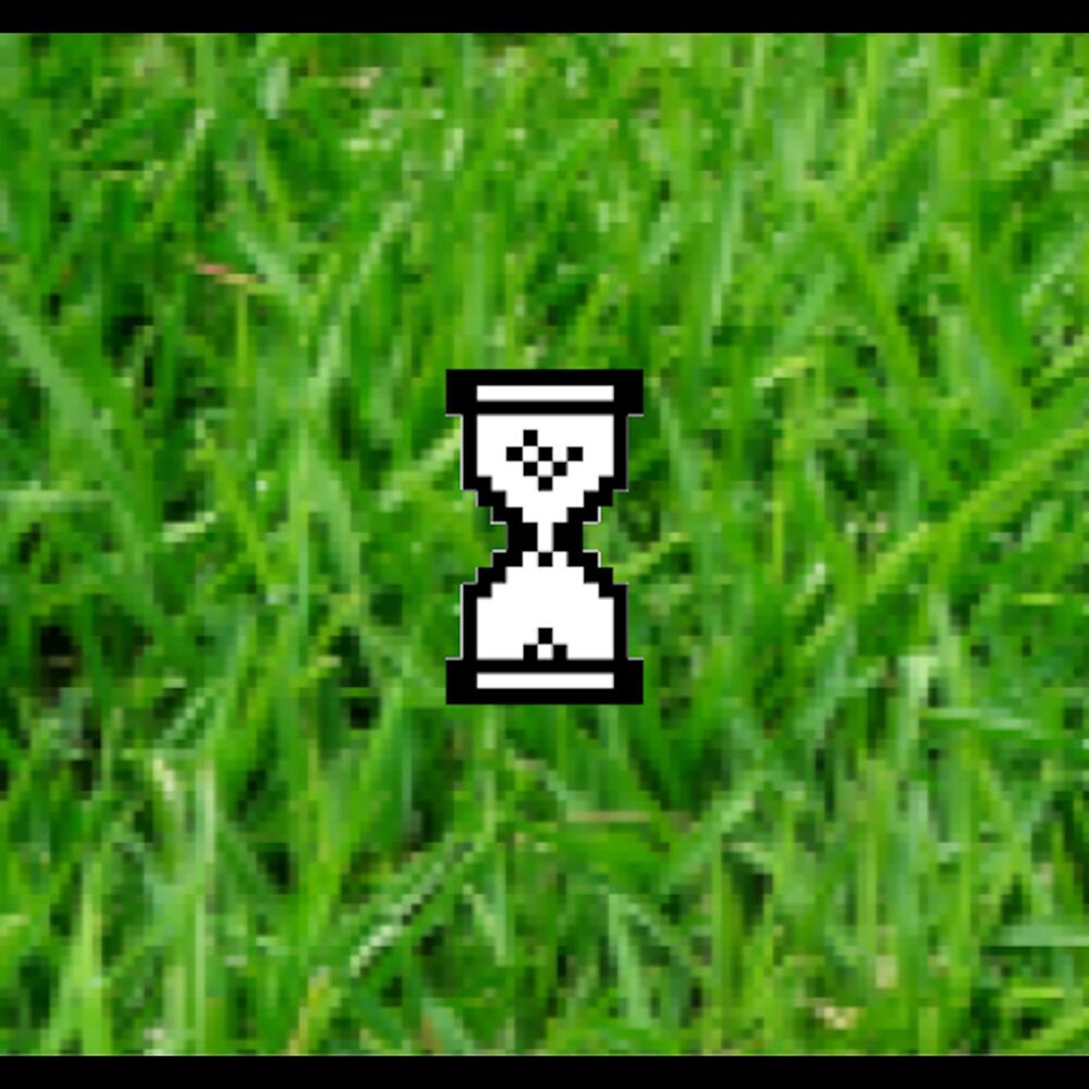 Picture of Record Time!