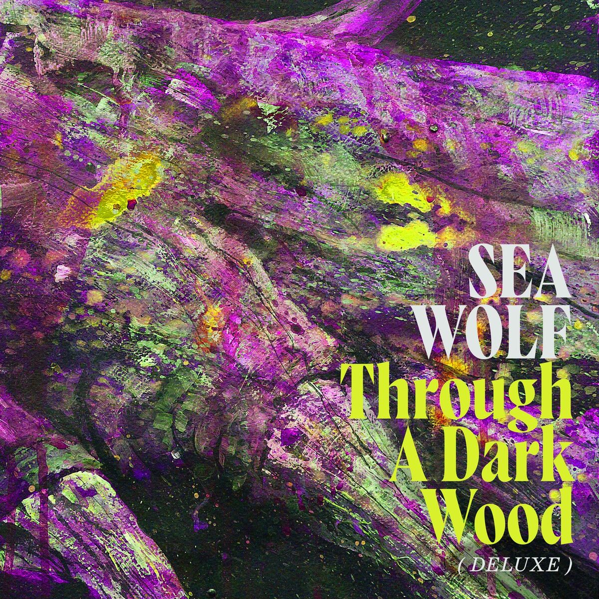 Album cover of Through A Dark Wood (Deluxe)