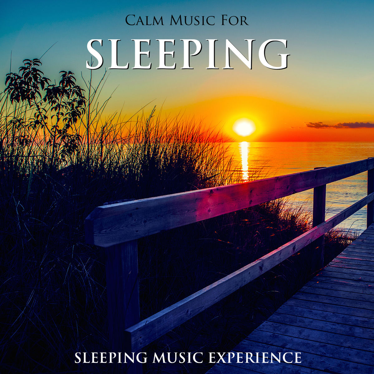 Album cover of Calm Music for Sleeping