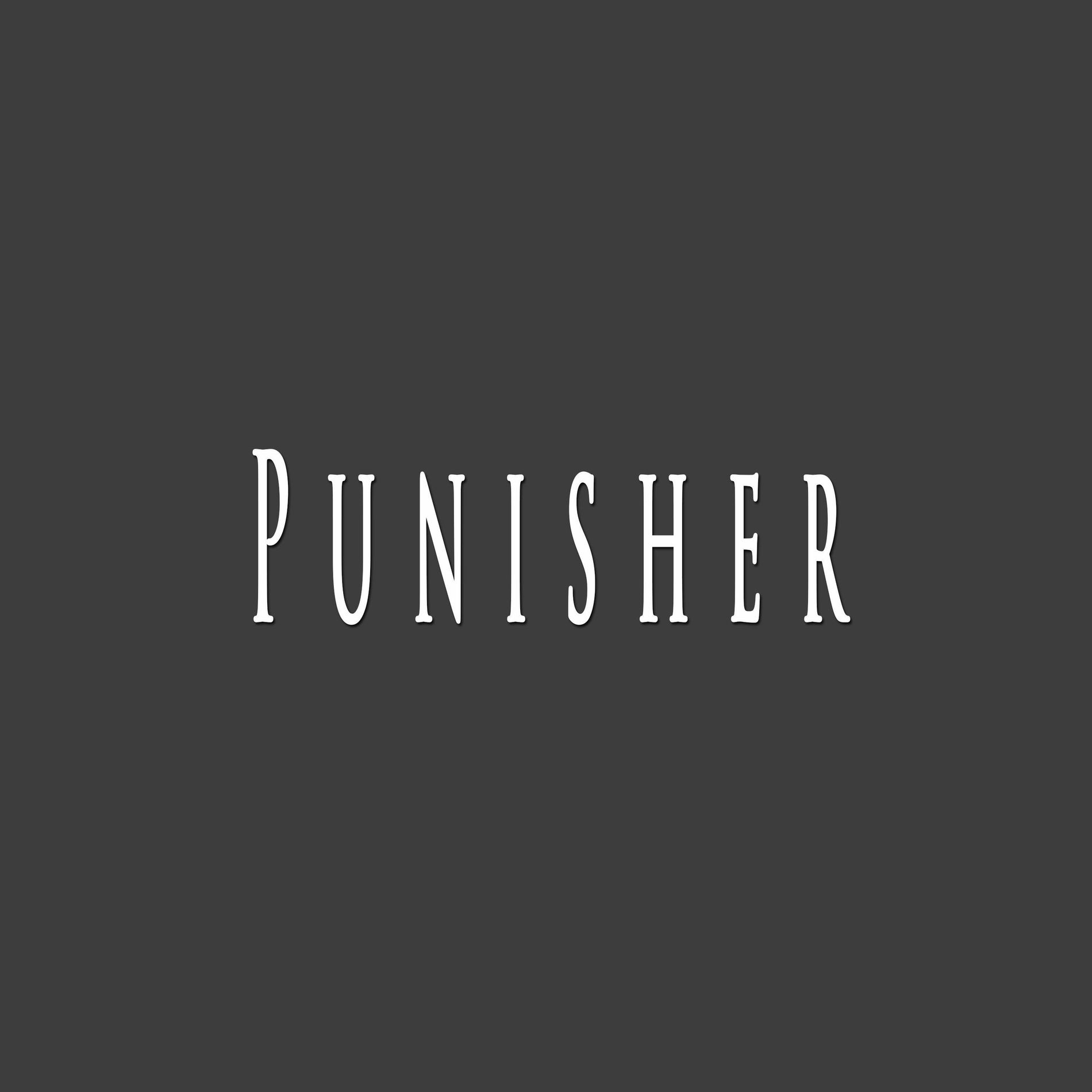 Album cover of Punisher (feat. Nesyu Beats)