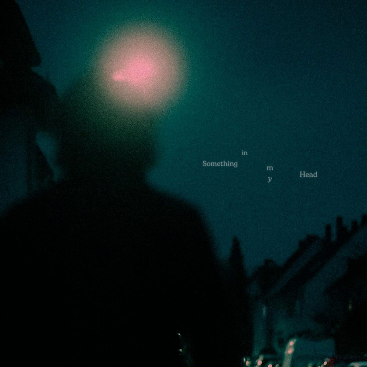Album cover of Something in My Head