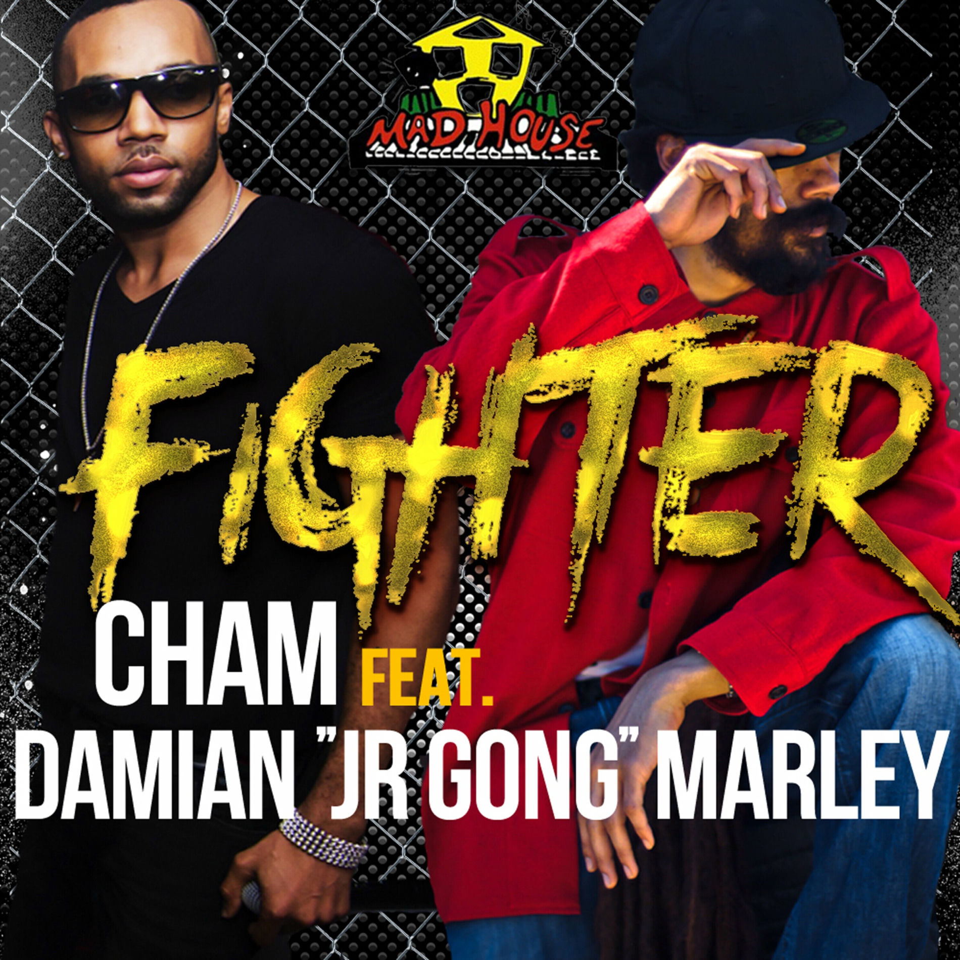 Album cover of Fighter (feat. Damian 