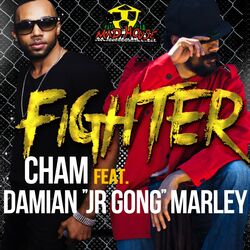 Cover of Fighter