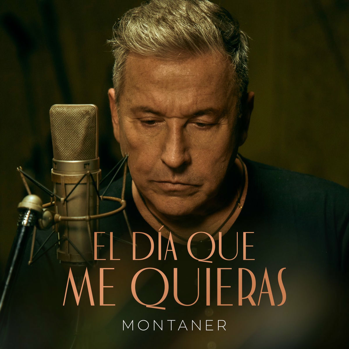 Album cover of El Día Que Me Quieras