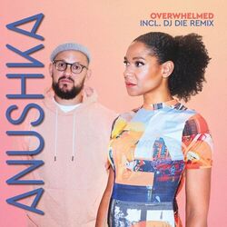 Cover of Overwhelmed