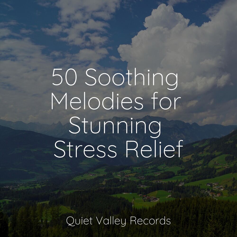 Picture of 50 Soothing Melodies for Stunning Stress Relief