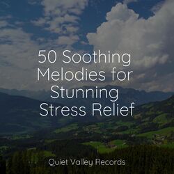 Cover of 50 Soothing Melodies for Stunning Stress Relief