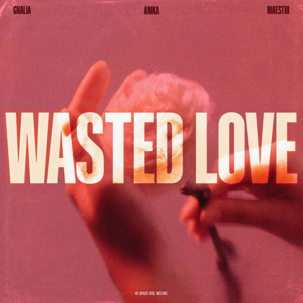 Album cover of Wasted Love