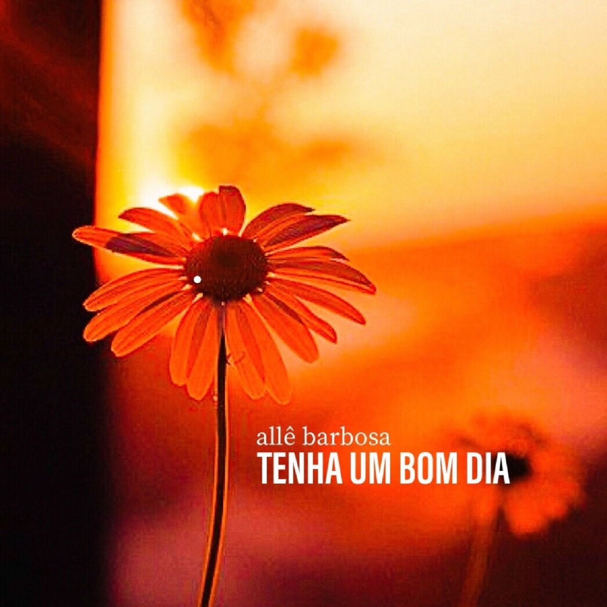 Album cover of Tenha um Bom Dia