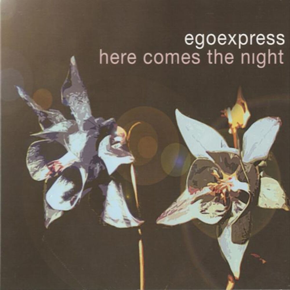 Picture of Here Comes the Night
