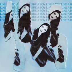Cover of Like A Boy