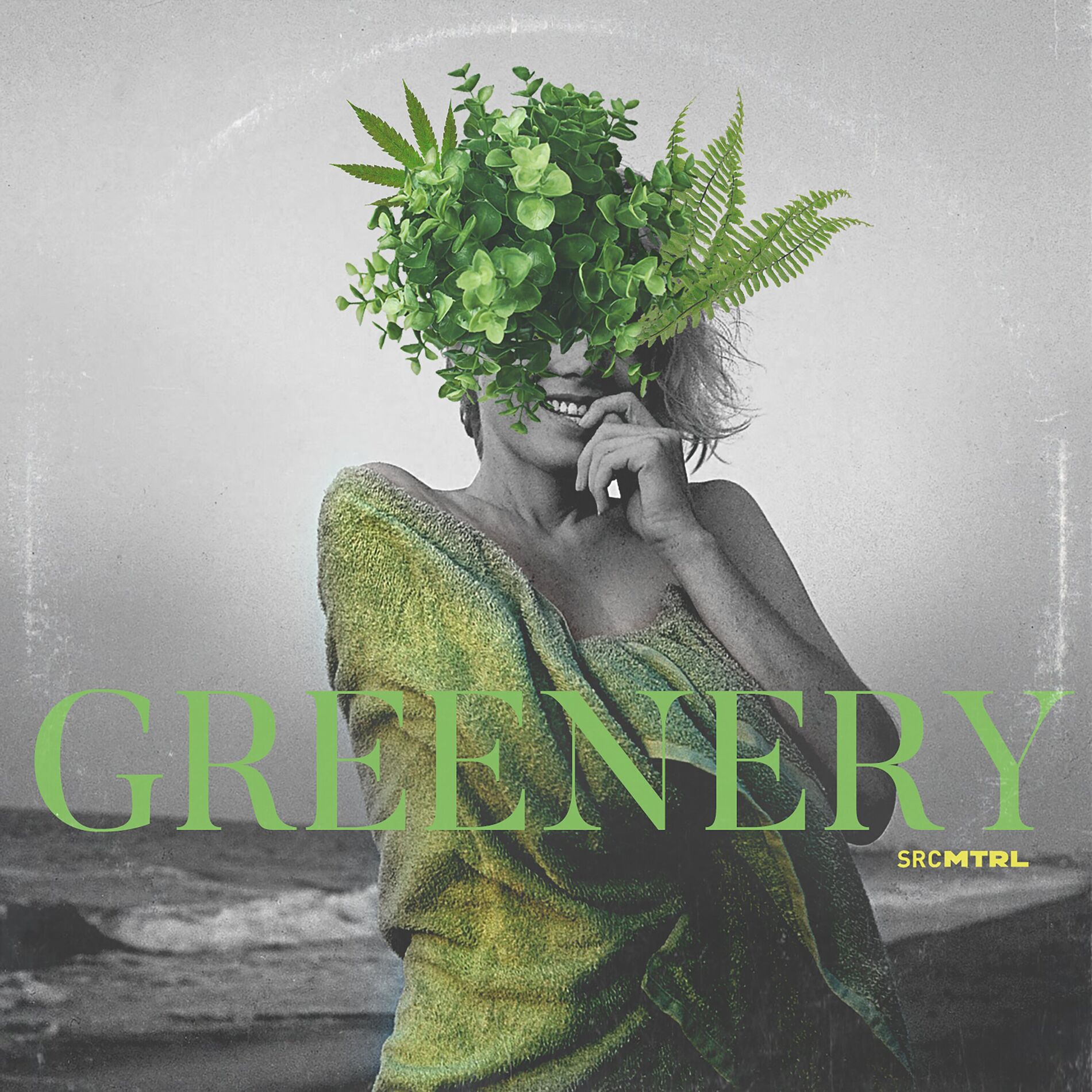 Album cover of Cilantro (SRCMTRL RMX)