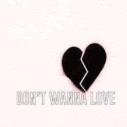 Cover of Don’t Wanna Love (Radio Edit)