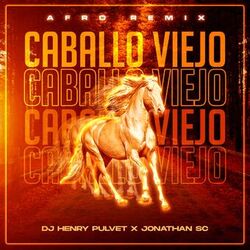 Cover of Caballo Viejo Afro Remix