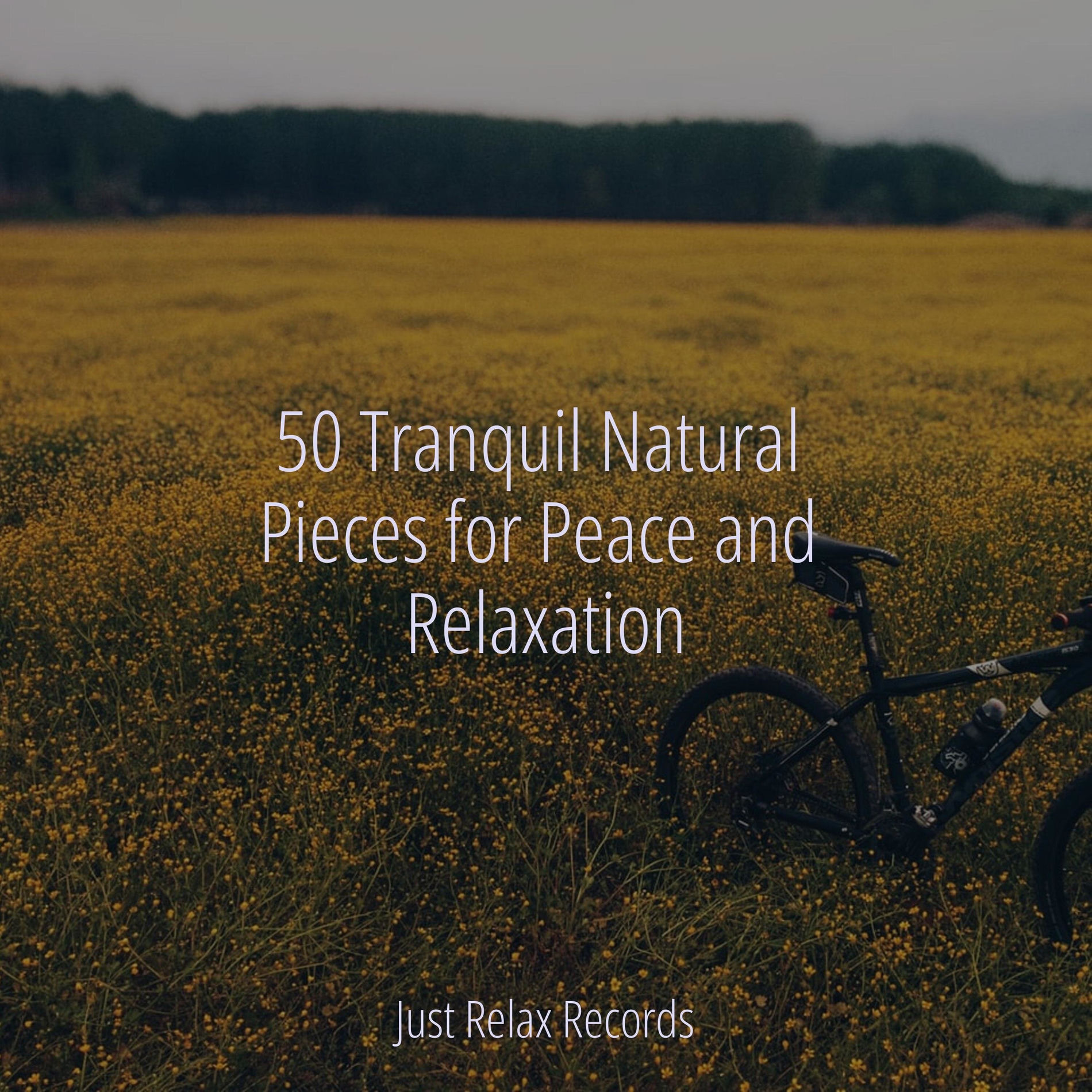 Album cover of 50 Tranquil Natural Pieces for Peace and Relaxation