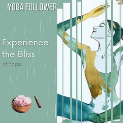 Cover of Experience the Bliss of Yoga