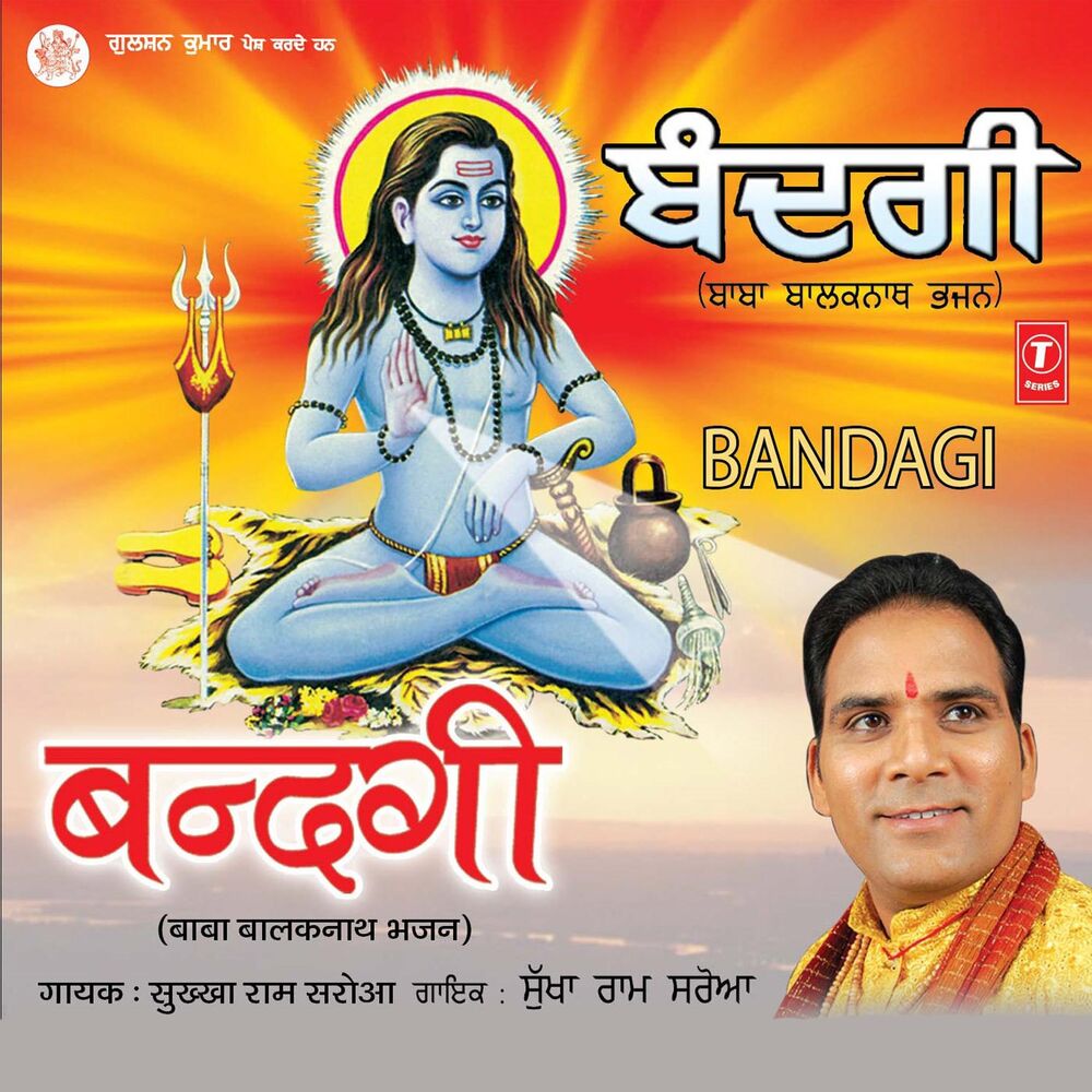 Picture of Bandagi