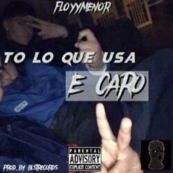 Cover of to lo que usa e caro