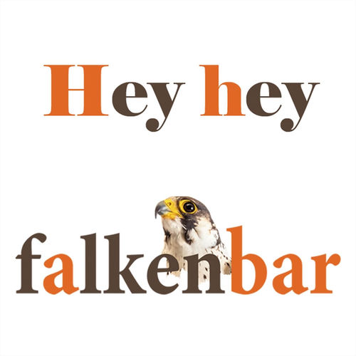 Hey Hey Falkenbar (Radio)