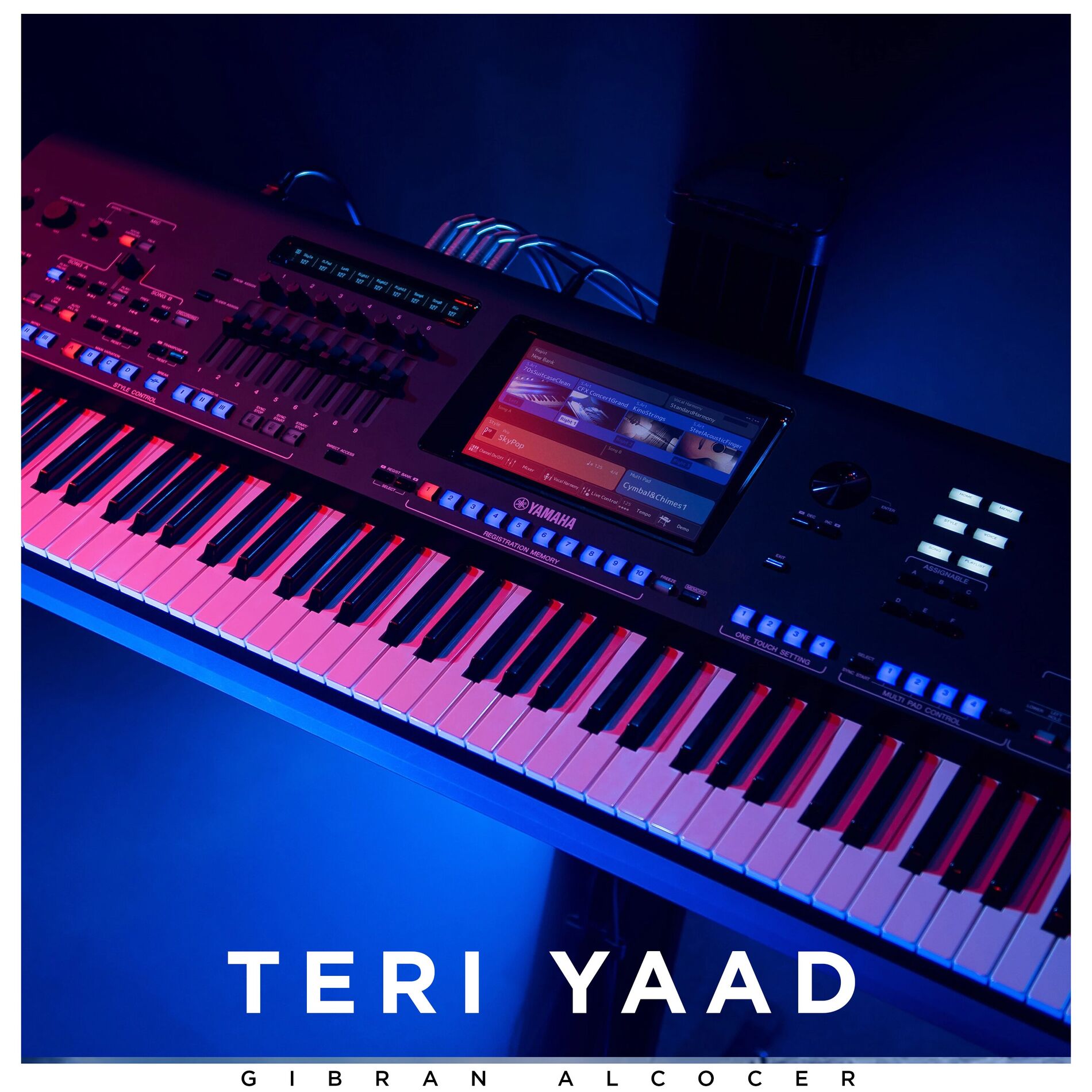 Album cover of Teri Yaad