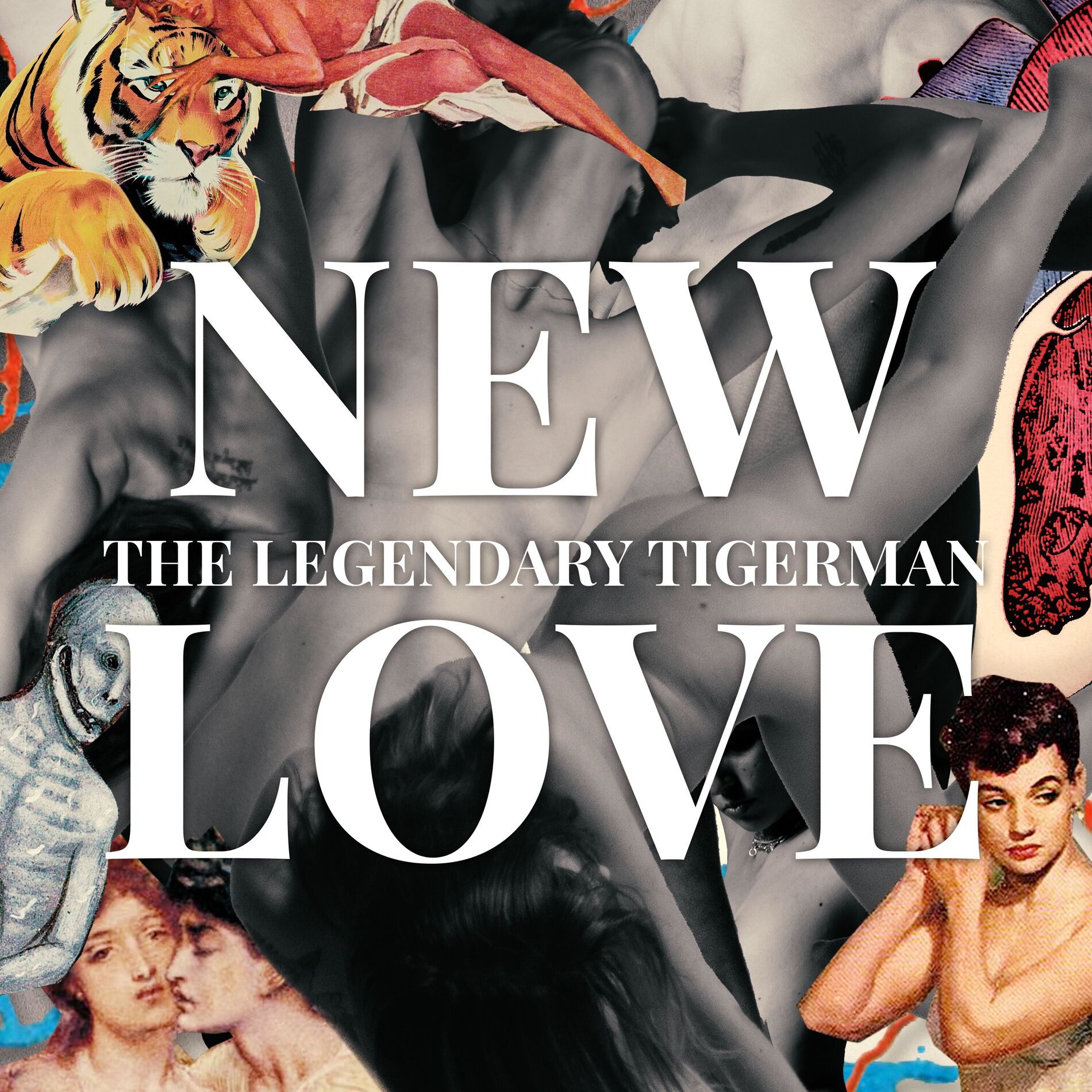 Album cover of New Love