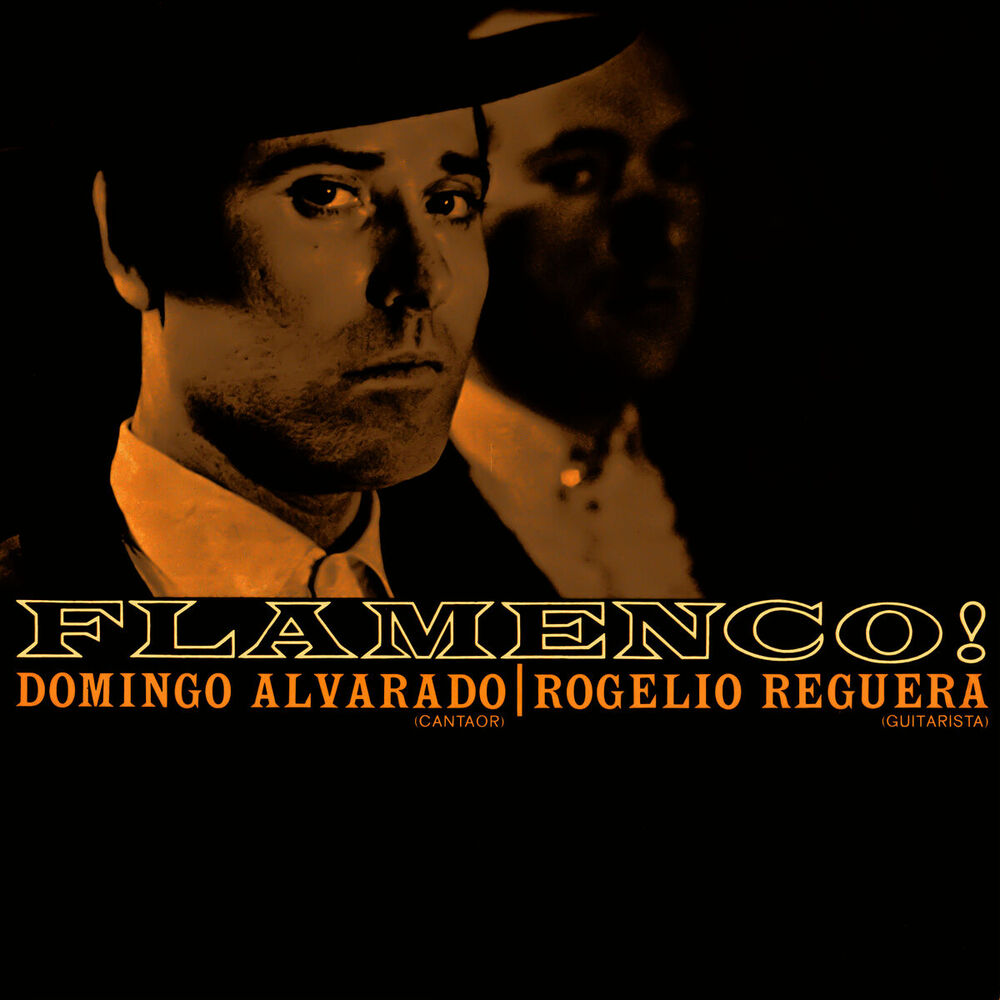 Picture of Flamenco!
