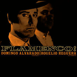 Cover of Flamenco!