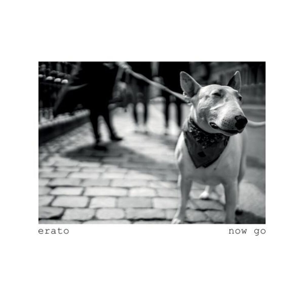 Picture of Now Go