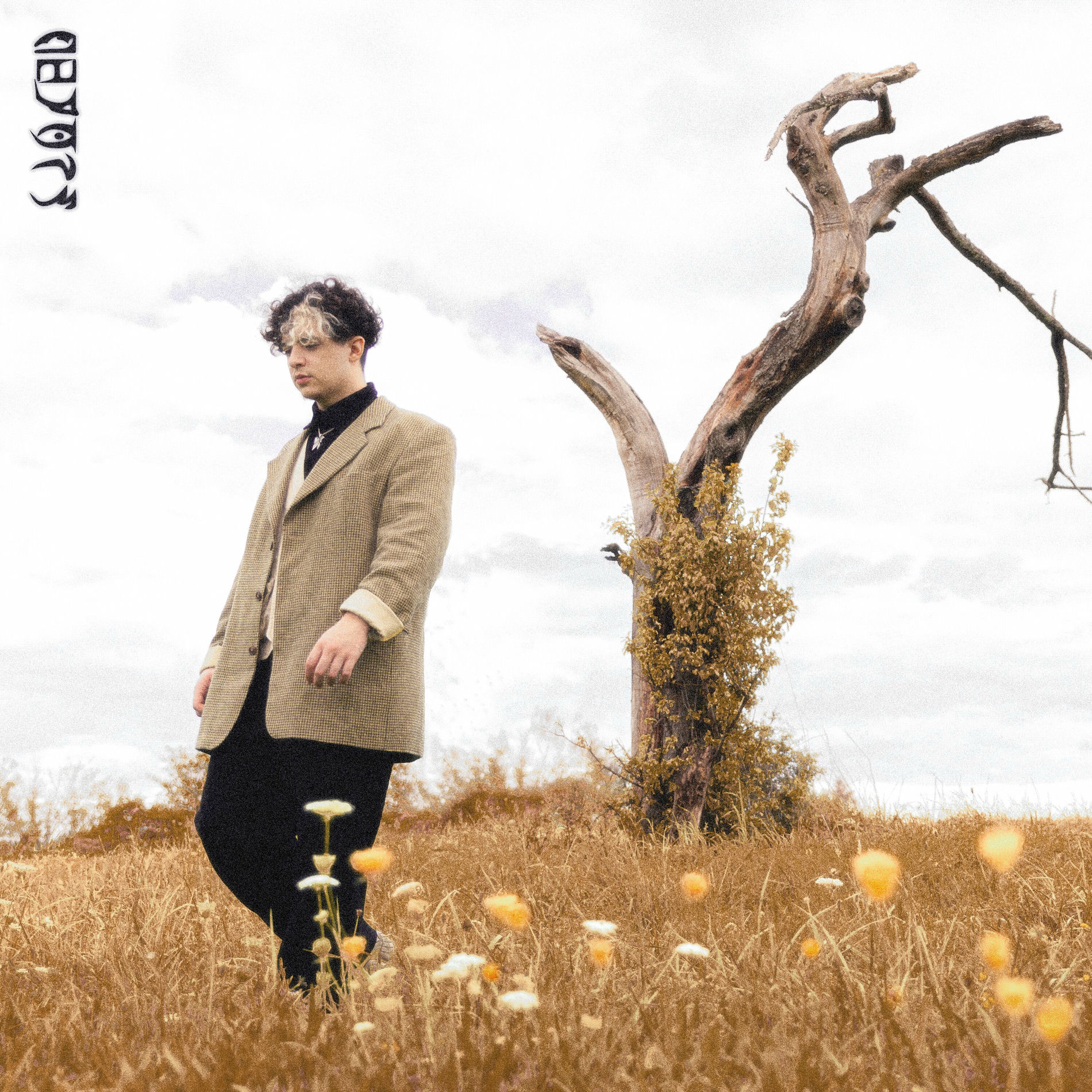 Album cover of Dehors