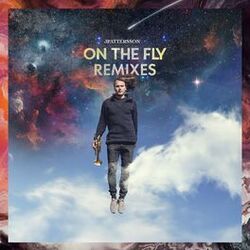 Cover of On The Fly - Remixes